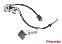 BREMBO T61115 - Tubo flexible de frenos - ESSENTIAL LINE