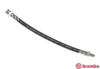 BREMBO T23043 - Tubo flexible de frenos - ESSENTIAL LINE