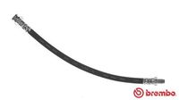 BREMBO T23081 - Tubo flexible de frenos - ESSENTIAL LINE