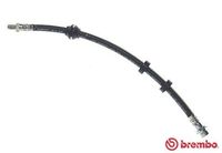 BREMBO T24035 - Tubo flexible de frenos - ESSENTIAL LINE