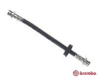 BREMBO T24036 - Tubo flexible de frenos - ESSENTIAL LINE