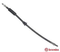 BREMBO T24090 - Tubo flexible de frenos - ESSENTIAL LINE