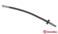 BREMBO T24138 - Tubo flexible de frenos - ESSENTIAL LINE