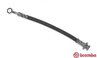 BREMBO T56110 - Tubo flexible de frenos - ESSENTIAL LINE