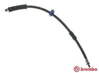 BREMBO T61031 - Tubo flexible de frenos - ESSENTIAL LINE