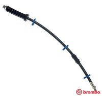 BREMBO T61066 - Tubo flexible de frenos - ESSENTIAL LINE