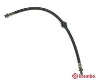 BREMBO T68037 - Tubo flexible de frenos - ESSENTIAL LINE