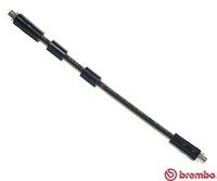 BREMBO T85041 - Tubo flexible de frenos - ESSENTIAL LINE
