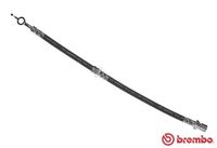 BREMBO T10005 - Tubo flexible de frenos - ESSENTIAL LINE