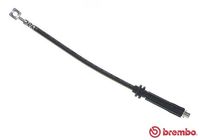 BREMBO T10017 - Tubo flexible de frenos - ESSENTIAL LINE