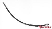 BREMBO T24093 - Tubo flexible de frenos - ESSENTIAL LINE