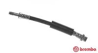 BREMBO T24126 - Tubo flexible de frenos - ESSENTIAL LINE