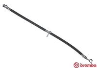 BREMBO T28013 - Tubo flexible de frenos - ESSENTIAL LINE