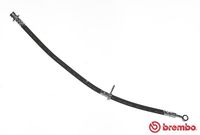 BREMBO T28042 - Tubo flexible de frenos - ESSENTIAL LINE