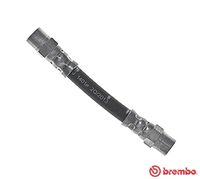 BREMBO T06034 - Tubo flexible de frenos - ESSENTIAL LINE