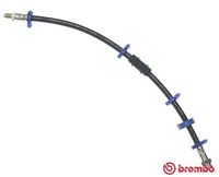 BREMBO T23009 - Tubo flexible de frenos - ESSENTIAL LINE