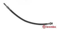 BREMBO T85089 - Tubo flexible de frenos - ESSENTIAL LINE