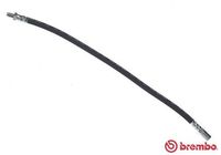 BREMBO TA6026 - Tubo flexible de frenos - ESSENTIAL LINE