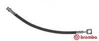 BREMBO T59081 - Tubo flexible de frenos - ESSENTIAL LINE