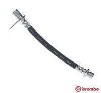 BREMBO T83161 - Tubo flexible de frenos - ESSENTIAL LINE