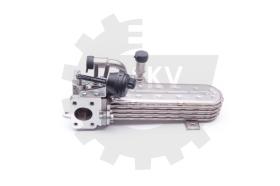 SKV 14SKV138 - Válvula EGR 14SKV138