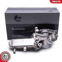 SKV 14SKV241 - Válvula EGR 14SKV241