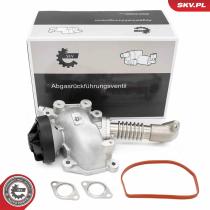 SKV 14SKV257 - Válvula EGR 14SKV257
