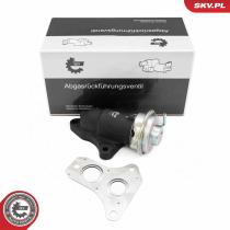 SKV 14SKV263 - Válvula EGR 14SKV263