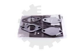 SKV 14SKV530 - Kit de reparación EGR 14SKV530