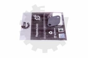 SKV 14SKV549 - Kit de reparación EGR 14SKV549
