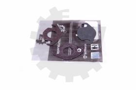 SKV 14SKV557 - Kit de reparación EGR 14SKV557
