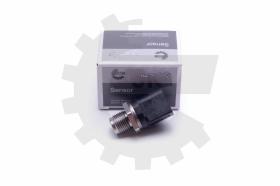 SKV 17SKV621 - Sensor de presión de combustible 17SKV621