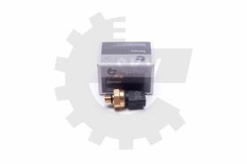 SKV 17SKV624 - Sensor de presión de combustible 17SKV624