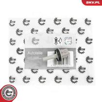 SKV 17SKV983 - Sensor de temperatura interior 17SKV983