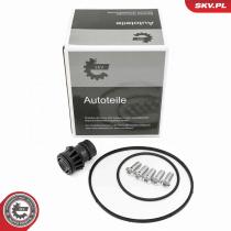 SKV 18SKV810 - Kit de reparación de bomba de vacío 18SKV810