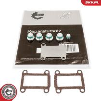SKV 49SKV525 - Kit de reparación 49SKV525