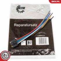 SKV 53SKV169 - Kit de reparación 53SKV169