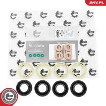 SKV 53SKV189 - Kit de reparación 53SKV189