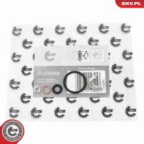 SKV 53SKV192 - Kit de reparación 53SKV192
