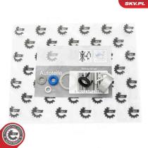 SKV 53SKV193 - Kit de reparación 53SKV193