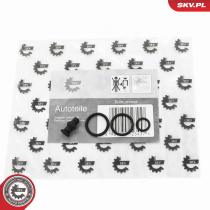 SKV 53SKV197 - Kit de reparación 53SKV197