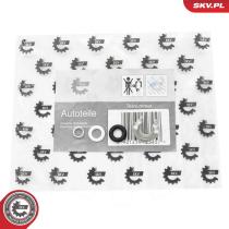 SKV 53SKV199 - Kit de reparación 53SKV199
