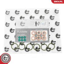 SKV 53SKV200 - Kit de reparación 53SKV200