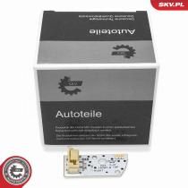 SKV 59SKV290 - Módulo LED, luz diurna 59SKV290