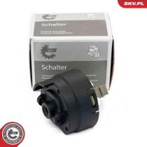 SKV 65SKV030 - Interruptor de encendido 65SKV030