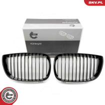 SKV 66SKV001 - Parrilla del radiador 66SKV001