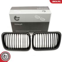 SKV 66SKV051 - Parrilla de radiador 66SKV051