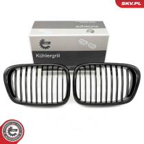 SKV 66SKV156 - Rejilla del radiador 66SKV156