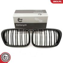 SKV 66SKV162 - Rejilla del radiador 66SKV162