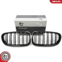 SKV 66SKV186 - Rejilla del radiador 66SKV186